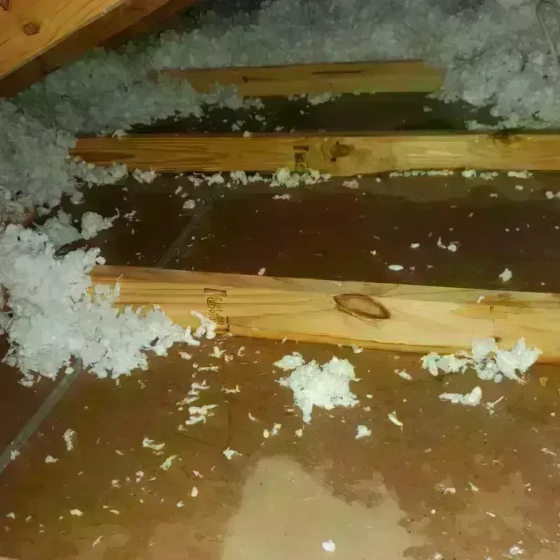 Attic Water Damage in Caledonia, WI