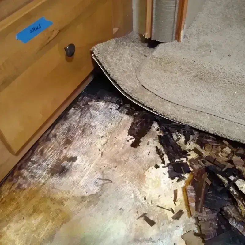 Wood Floor Water Damage in Caledonia, WI